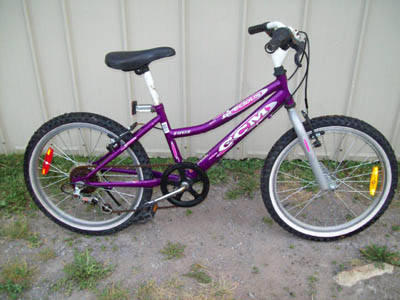 Vélo CCM Precious - StephaneLapointe.com