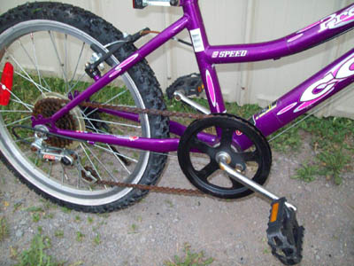 Vélo CCM Precious - StephaneLapointe.com