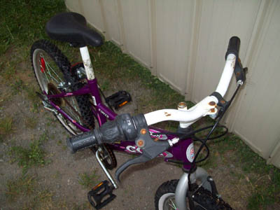 Vélo CCM Precious - StephaneLapointe.com
