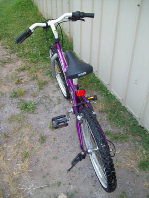 Vélo CCM Precious - StephaneLapointe.com