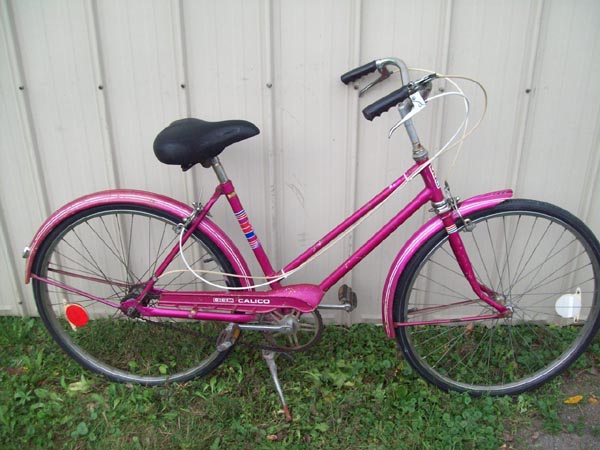 Vélo CCM Calico - StephaneLapointe.com