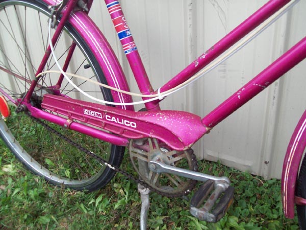 Vélo CCM Calico - StephaneLapointe.com