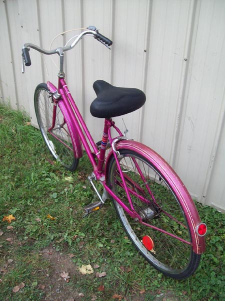 Vélo CCM Calico - StephaneLapointe.com