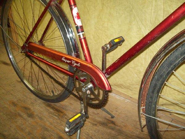 Vélo Supercycle by Raleigh - StephaneLapointe.com