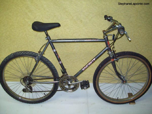 Vélo Supercycle Ascent - StephaneLapointe.com