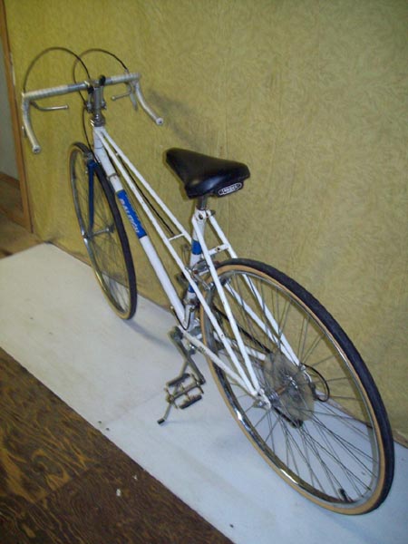 Vélo Raleigh Record - StephaneLapointe.com