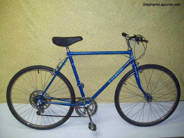 Vélo Raleigh Lenton - StephaneLapointe.com