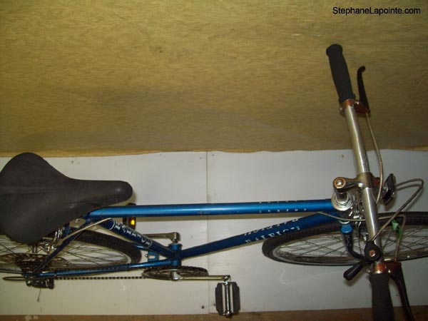 Vélo Raleigh Lenton - StephaneLapointe.com