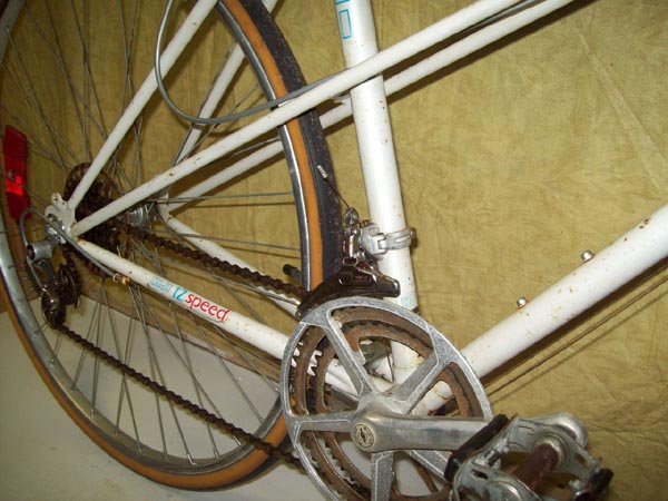 Vélo Niji  - StephaneLapointe.com