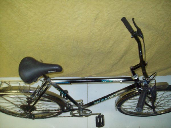 Vélo Leader LE 60705 - StephaneLapointe.com