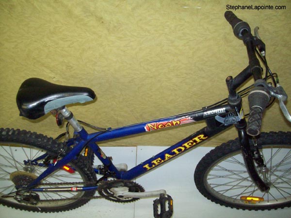 Vélo Leader Neon - StephaneLapointe.com