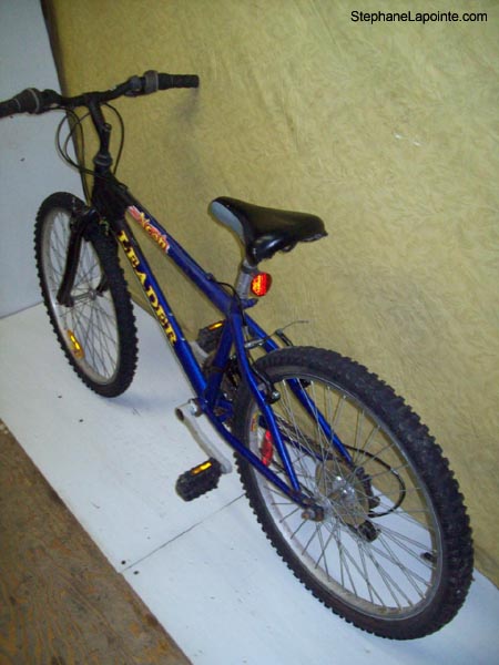 Vélo Leader Neon - StephaneLapointe.com