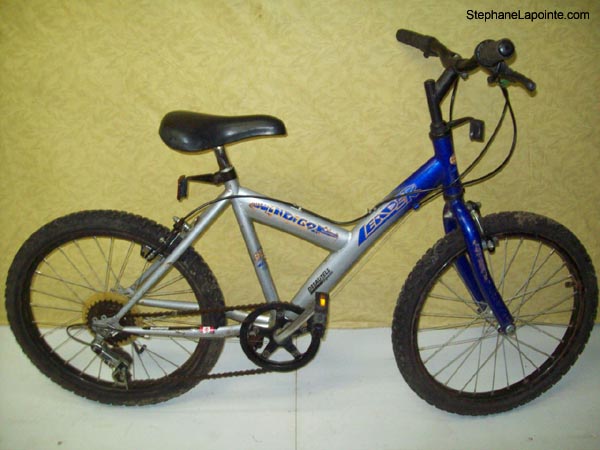 Vélo Leader Indigo - StephaneLapointe.com