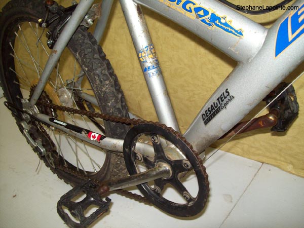 Vélo Leader Indigo - StephaneLapointe.com