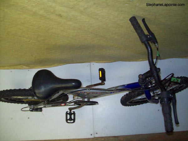 Vélo Leader Indigo - StephaneLapointe.com