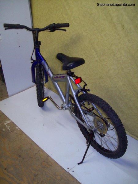 Vélo Leader Indigo - StephaneLapointe.com