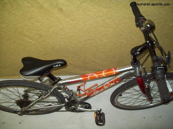 Vélo Louis Garneau GO 2.4 - StephaneLapointe.com