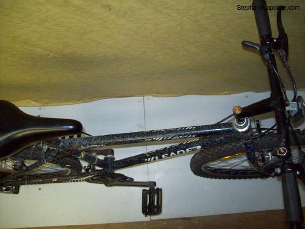 Vélo Leader LE 60745 - StephaneLapointe.com