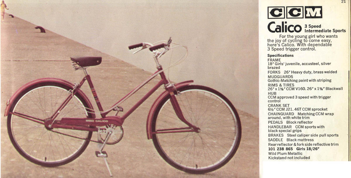 Vélo CCM Calico - StephaneLapointe.com