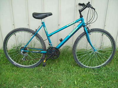 Vélo Triumph Vertical DX - StephaneLapointe.com