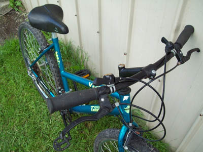 Vélo Triumph Vertical DX - StephaneLapointe.com