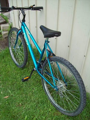 Vélo Triumph Vertical DX - StephaneLapointe.com