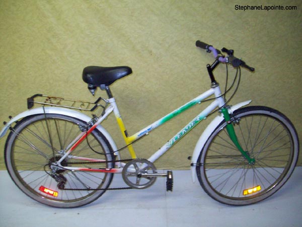Vélo Leader Edition Spéciale - StephaneLapointe.com