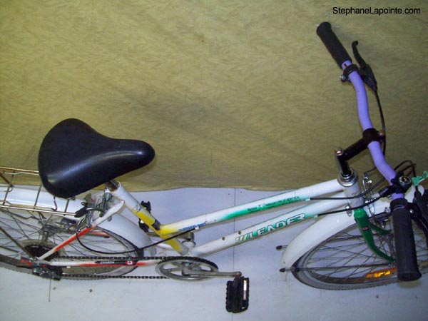 Vélo Leader Edition Spéciale - StephaneLapointe.com
