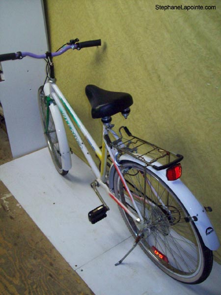 Vélo Leader Edition Spéciale - StephaneLapointe.com