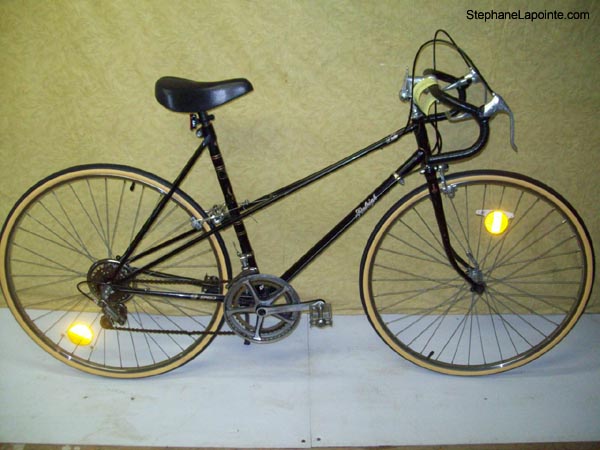 Vélo Raleigh Delta - StephaneLapointe.com