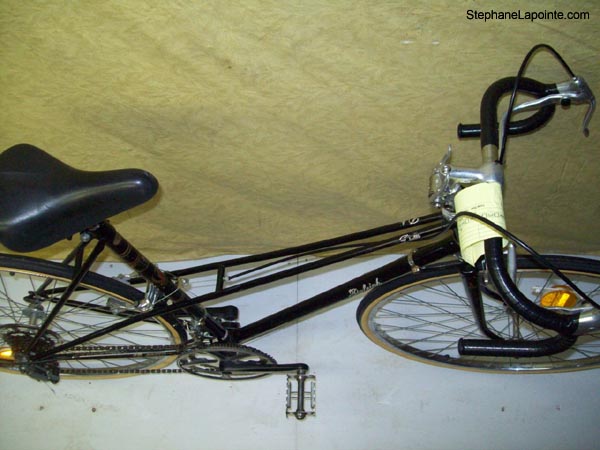 Vélo Raleigh Delta - StephaneLapointe.com
