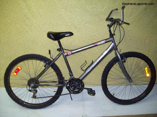 Vélo CCM Extreme ICE - StephaneLapointe.com