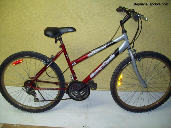 Vélo Supercycle SC1500 - StephaneLapointe.com