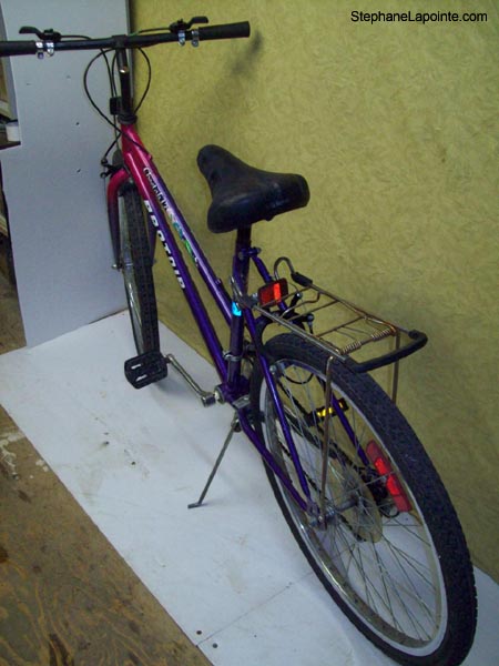 Vélo Pro Tour Cheetah 12 - StephaneLapointe.com