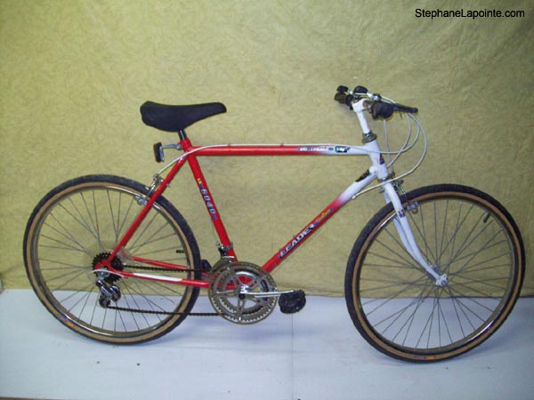 Vélo Leader LE 6040 - StephaneLapointe.com