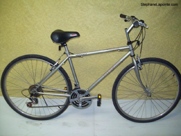 Vélo Minelli Promenade - StephaneLapointe.com