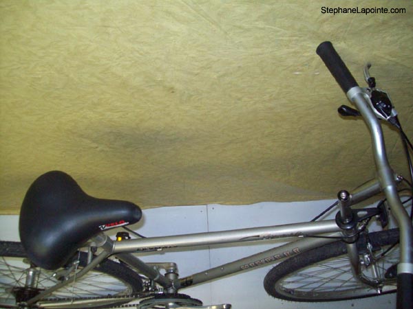Vélo Minelli Promenade - StephaneLapointe.com