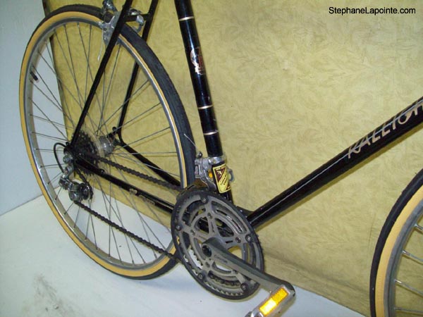 Vélo Raleigh Grand Prix - StephaneLapointe.com