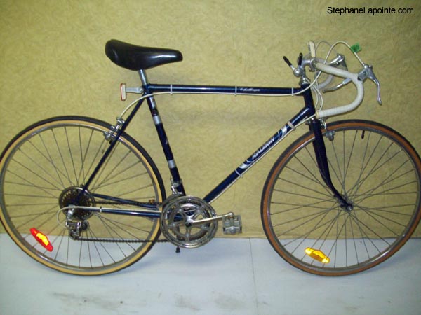 Vélo Raleigh Challenger - StephaneLapointe.com