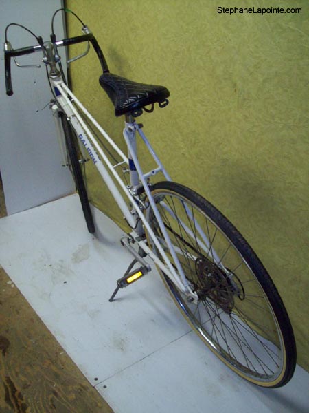 Vélo Raleigh Record - StephaneLapointe.com