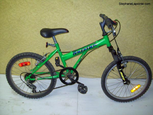 Vélo Raleigh Max Air Ride - StephaneLapointe.com