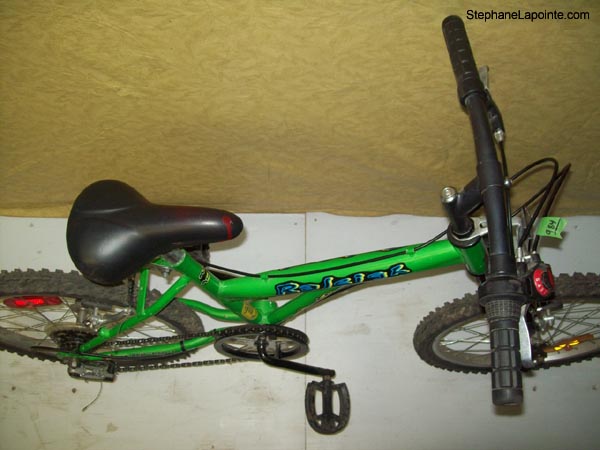 Vélo Raleigh Max Air Ride - StephaneLapointe.com