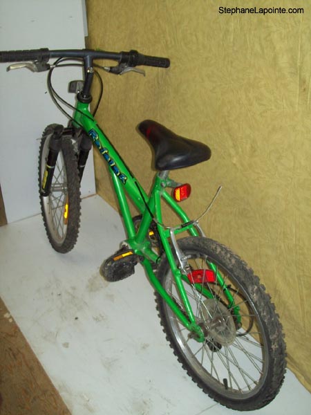 Vélo Raleigh Max Air Ride - StephaneLapointe.com