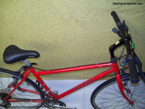 Vélo Peugeot Edition Limitée - StephaneLapointe.com