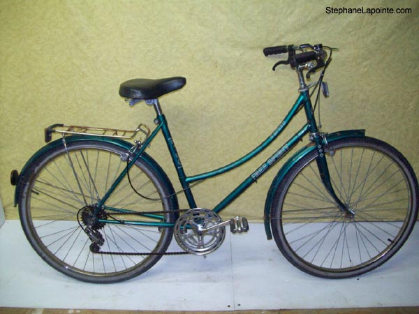 Vélo Free Spirit FS300 - StephaneLapointe.com