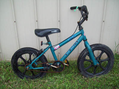 Vélo CCM ICE - StephaneLapointe.com